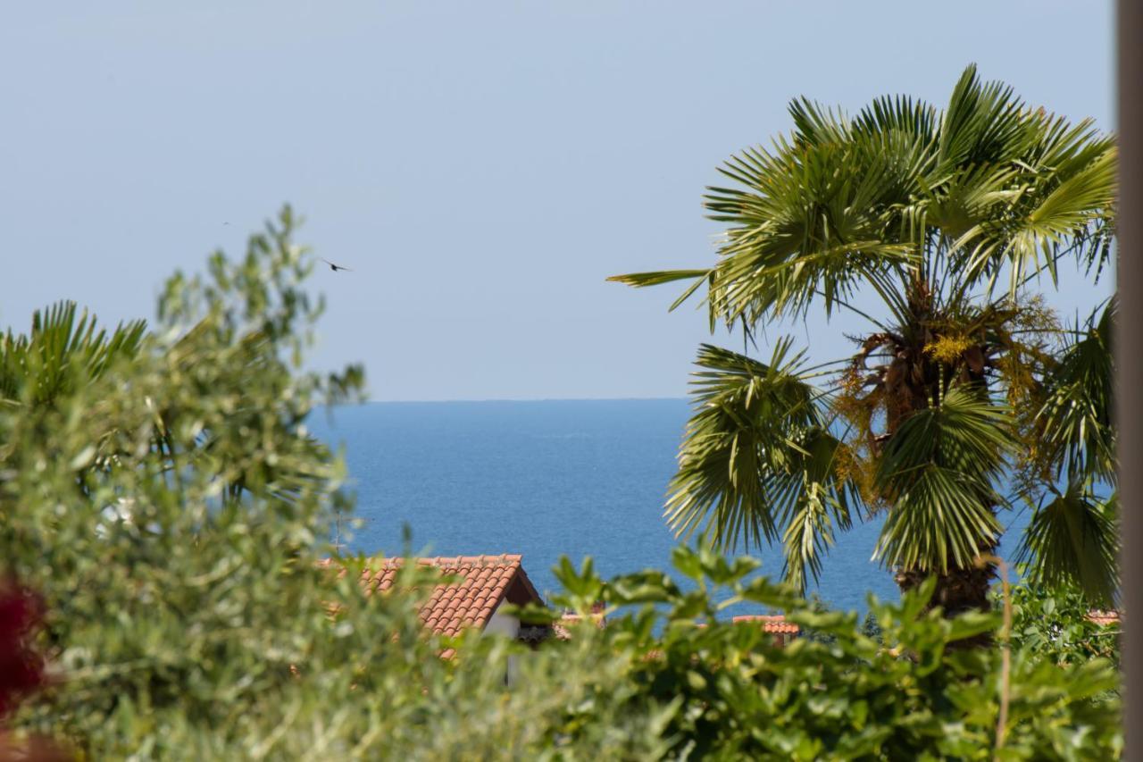 Apartments Palmic Porec Exterior photo
